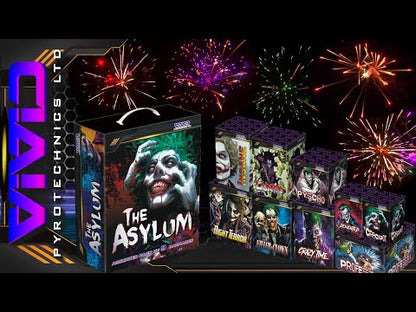VIVID The Asylum